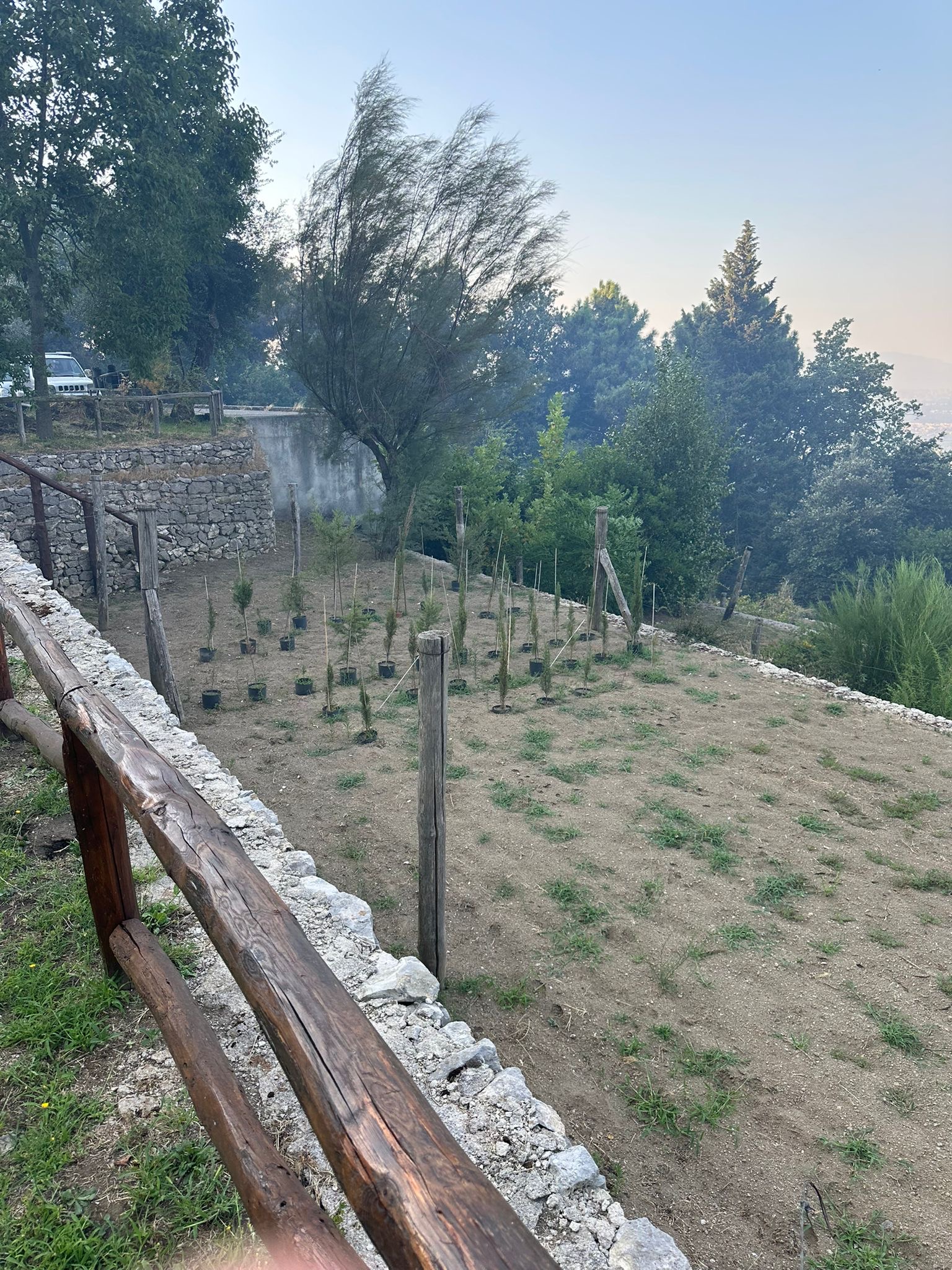 Roccarainola, mobilitazione dei giovani per salvare il vivaio e fermare le fiamme. Foto