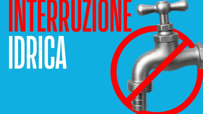 img-362224-O-29-1372-0-0-455fd868fe2a8bd8bde5304749cee2b1