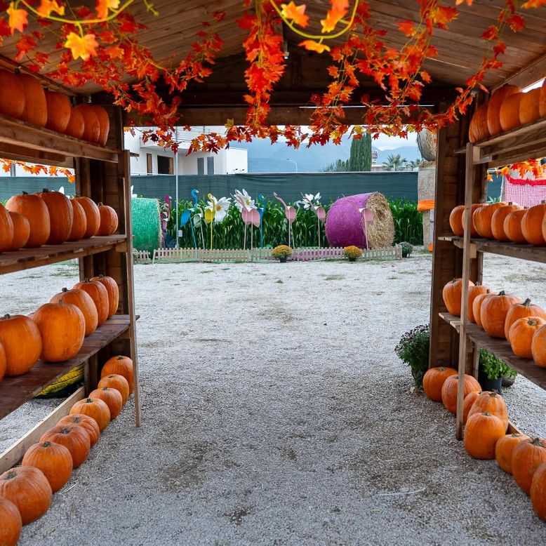 Casamarciano, riapre MARILAND, IL PAESE DELLE ZUCCHE, il mega parco dellarea nolana dedicato ai colori autunnali. Lo start domani