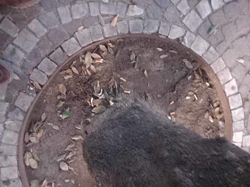 BAIANO. Rispettare l’ambiente è segno di educazione e civiltà.