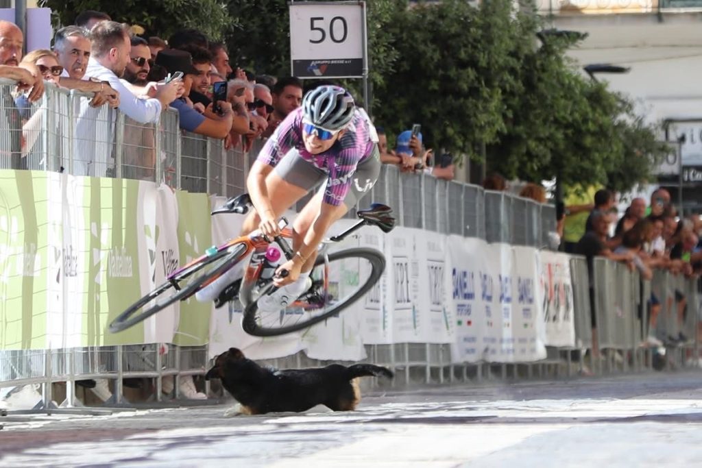 Visciano, giro del Mediterraneo in rosa, incidente all’arrivo: atleta olandese a terra, muore un cane