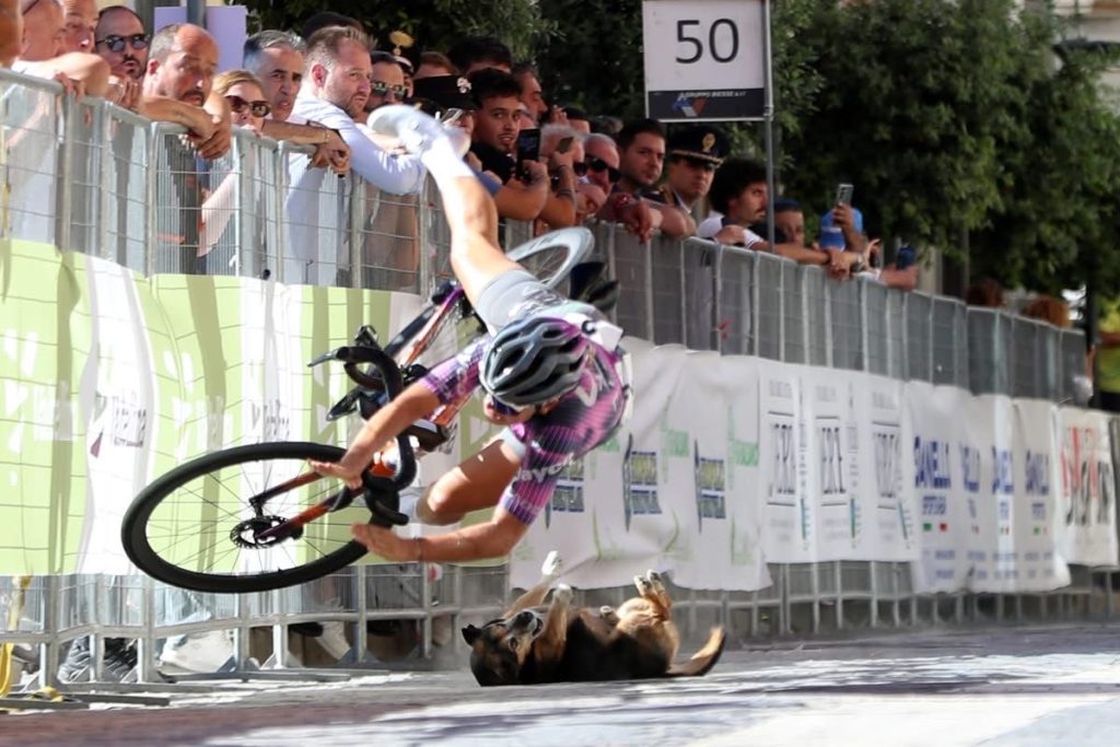 Visciano, giro del Mediterraneo in rosa, incidente all’arrivo: atleta olandese a terra, muore un cane