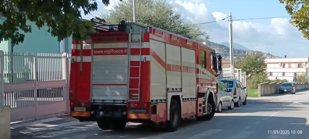 Primo giorno di scuola con sorpresa ad Avella: trovato un nido d’api alla scuola dell’infanzia