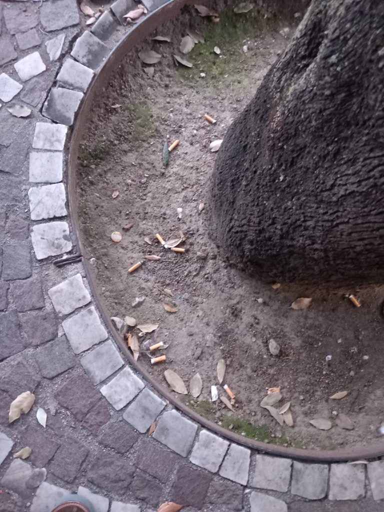 BAIANO. Rispettare l’ambiente è segno di educazione e civiltà.