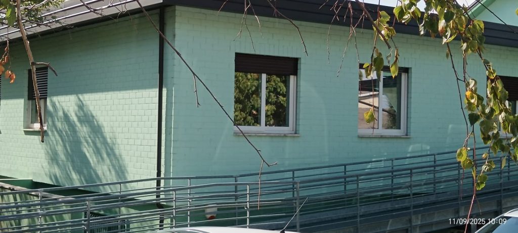 Primo giorno di scuola con sorpresa ad Avella: trovato un nido d’api alla scuola dell’infanzia