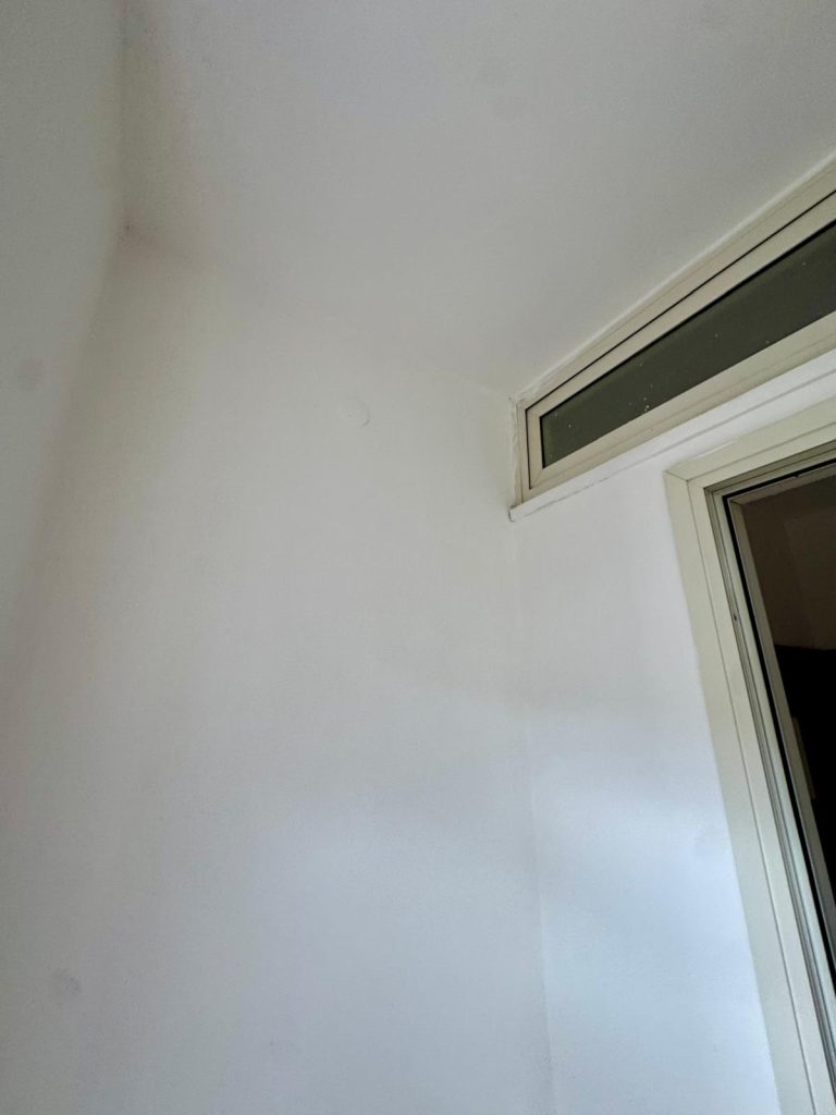 Mugnano del Cardinale, il cimitero rinasce: l’impegno dell’assessore De Stefano tra decoro e innovazione