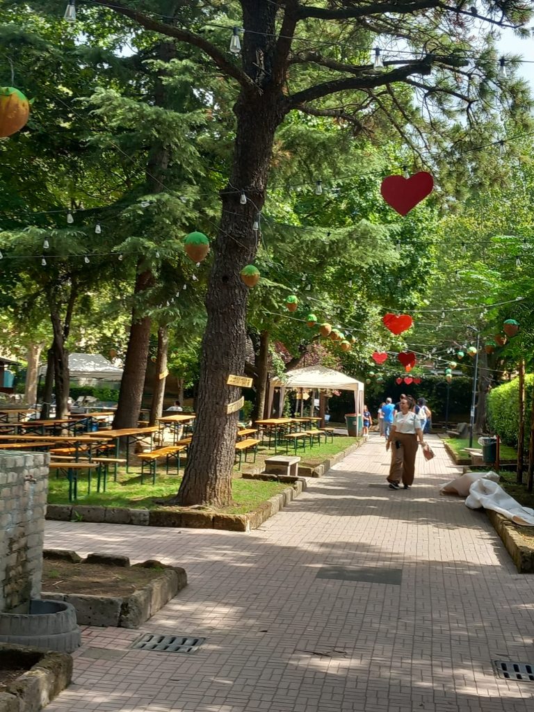 12, 13 e 14 settembre: Festa della Nocciola, la sagra di eccellenza della Pro Loco Baiano. 12, 13 e 14 settembre: Festa della Nocciola, la sagra di eccellenza della Pro Loco Baiano.