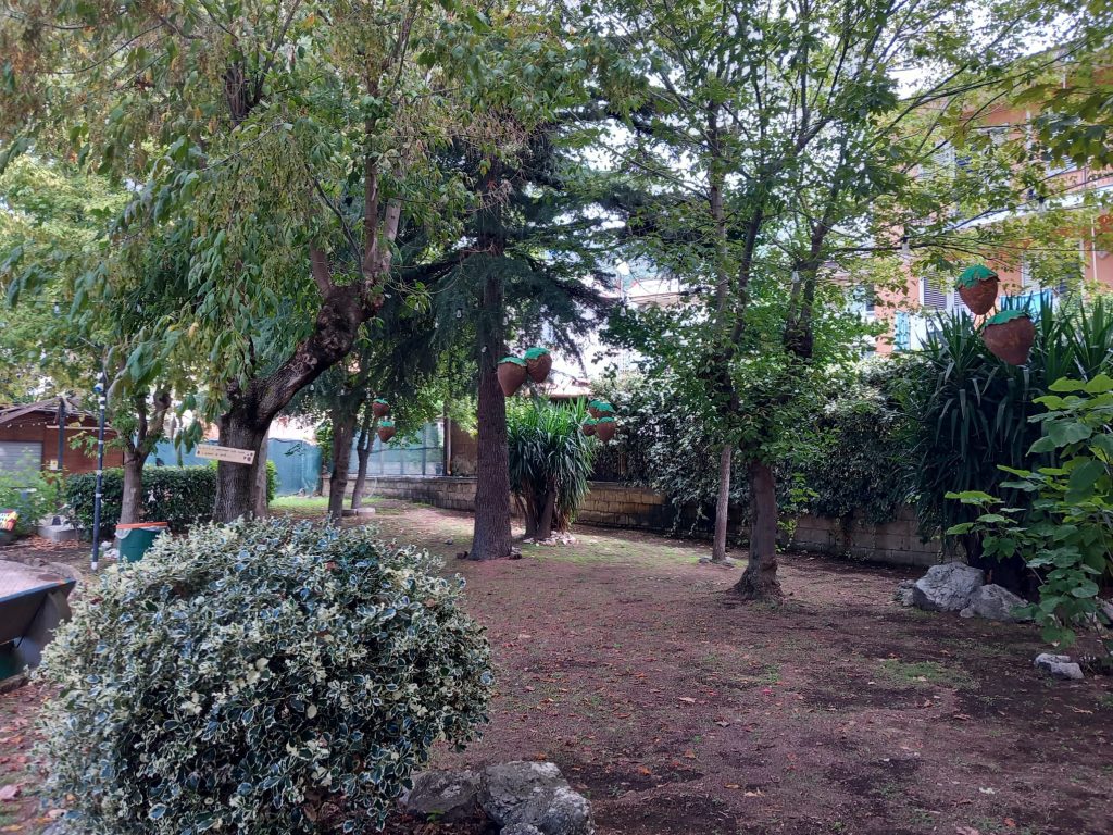 12, 13 e 14 settembre: Festa della Nocciola, la sagra di eccellenza della Pro Loco Baiano. 12, 13 e 14 settembre: Festa della Nocciola, la sagra di eccellenza della Pro Loco Baiano.