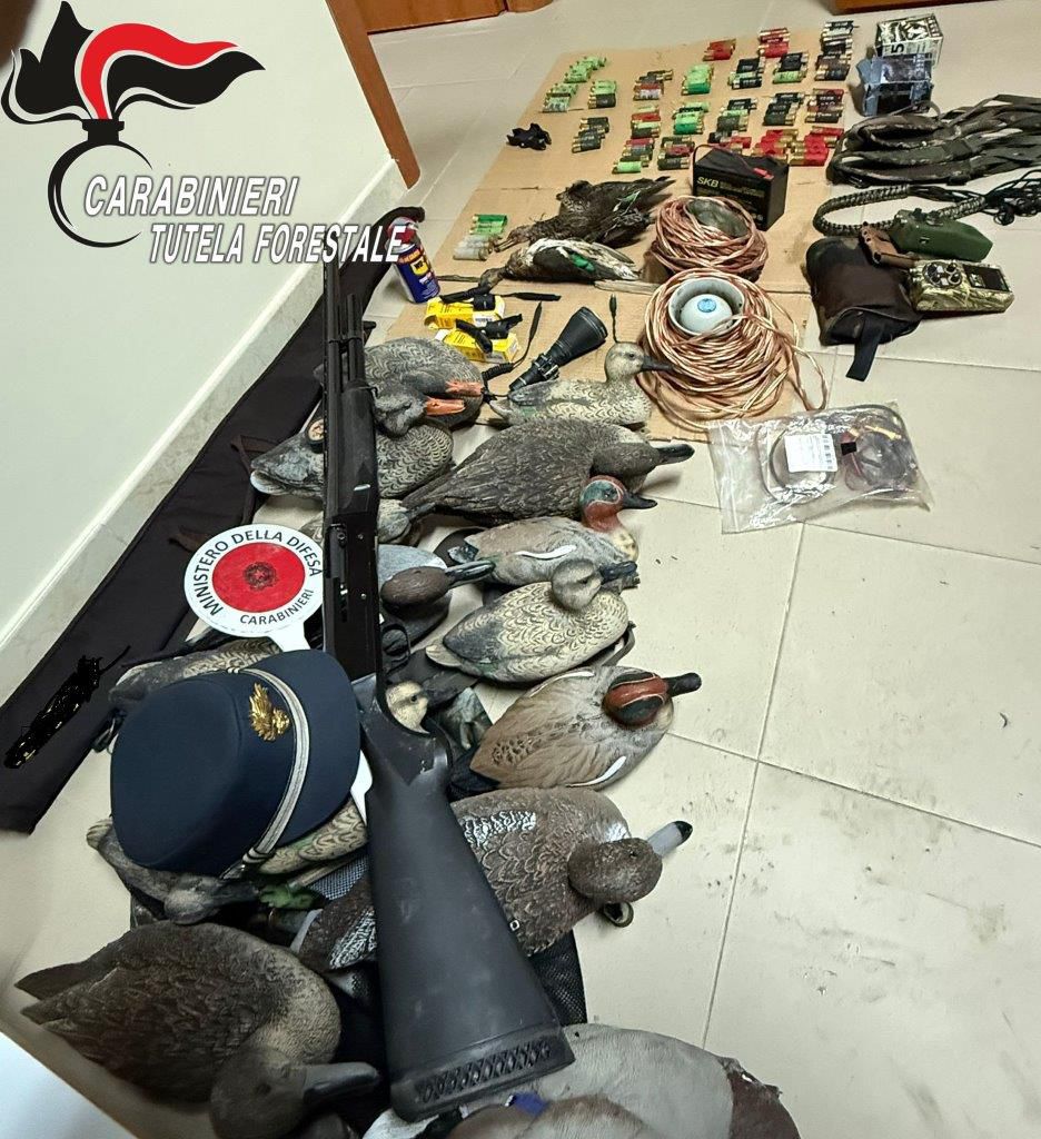 Bracconaggio a Villa Literno: denunciato un uomo, sequestrati fucile e richiami elettromagnetici
