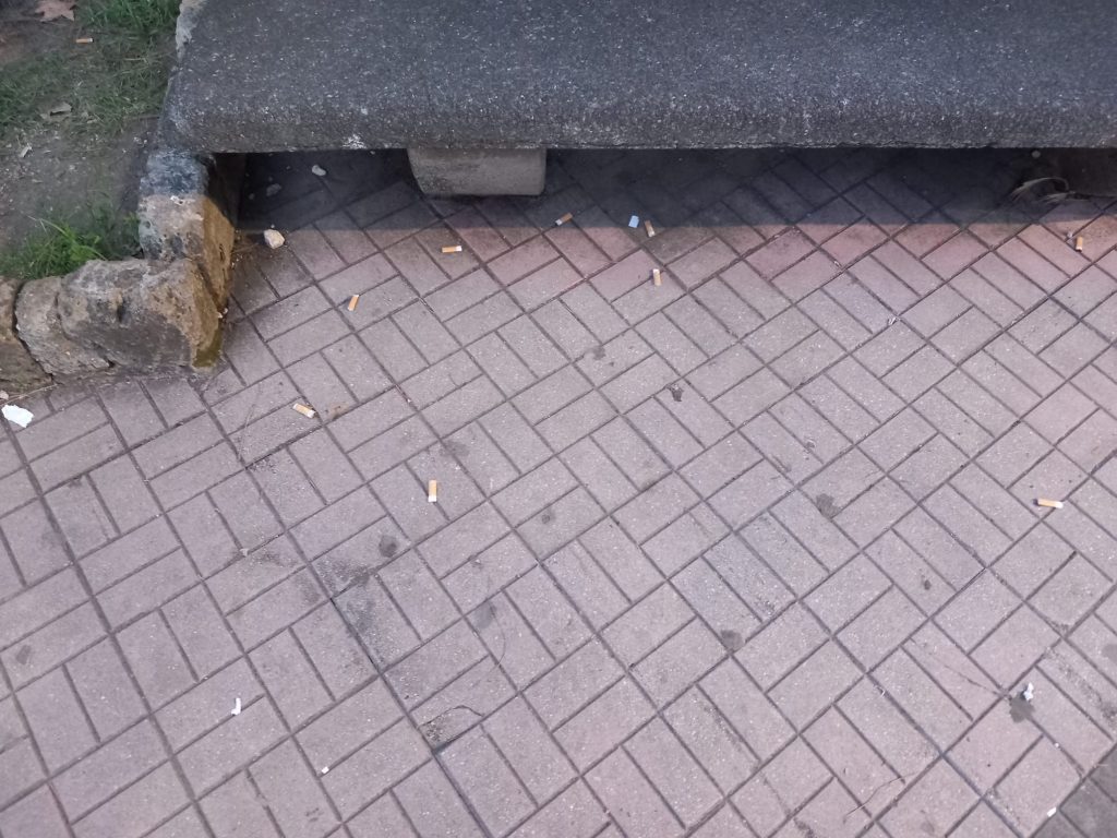 BAIANO. Rispettare l’ambiente è segno di educazione e civiltà.