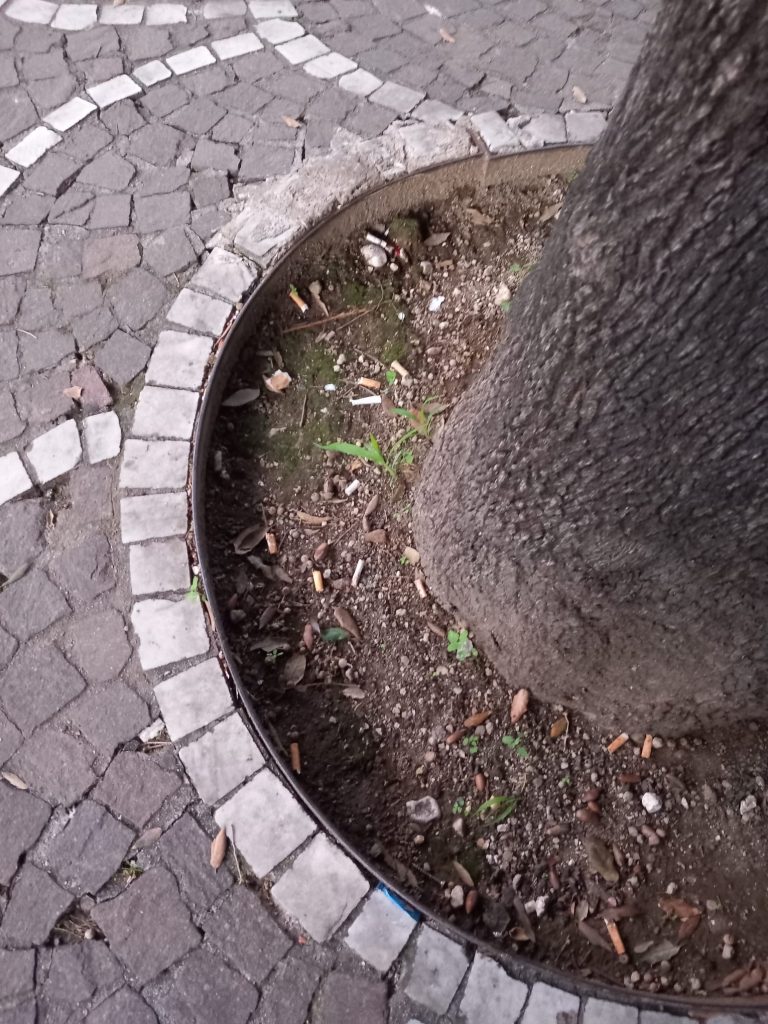 BAIANO. Rispettare l’ambiente è segno di educazione e civiltà.