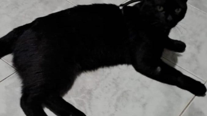 att.NSyeS7Qkpwg1KE630uKPKRuJQXWFhu7TKvIFTzUILdA