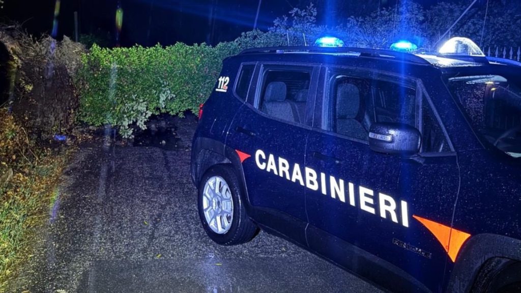 Maltempo in Irpinia: smottamenti e alberi caduti, interventi dei Carabinieri nella notte