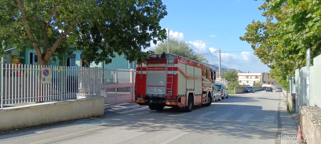 Primo giorno di scuola con sorpresa ad Avella: trovato un nido d’api alla scuola dell’infanzia