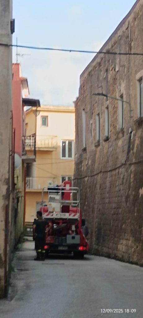 Avella, intervento dei Vigili del Fuoco in via Buongiovanni per un nido di api assalito dai calabroni