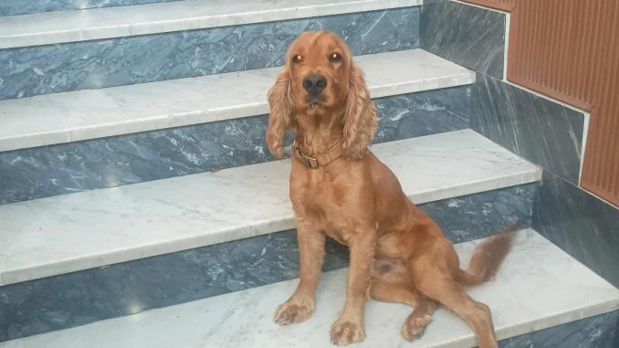 e237ab0a48ee5cfeb61fb287e77a561e