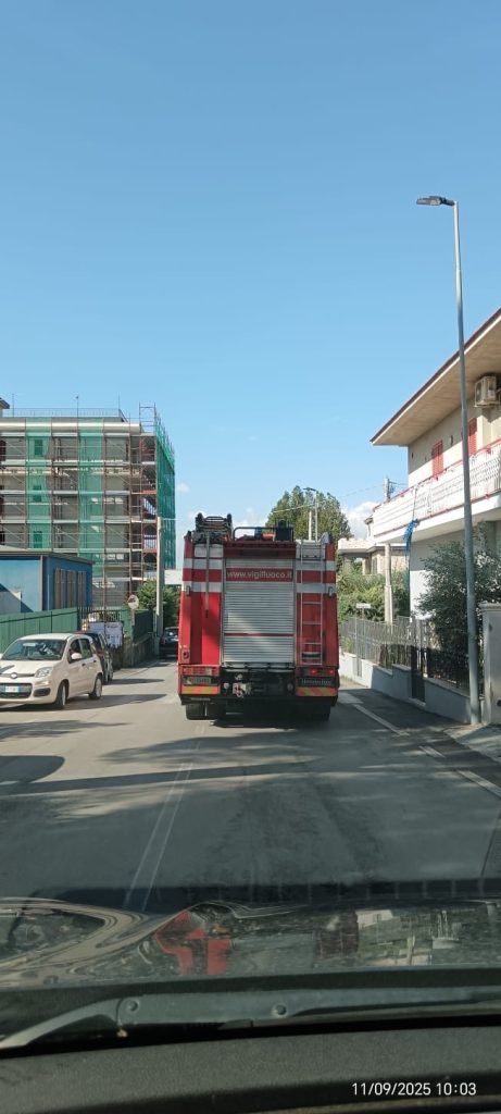 Primo giorno di scuola con sorpresa ad Avella: trovato un nido d’api alla scuola dell’infanzia