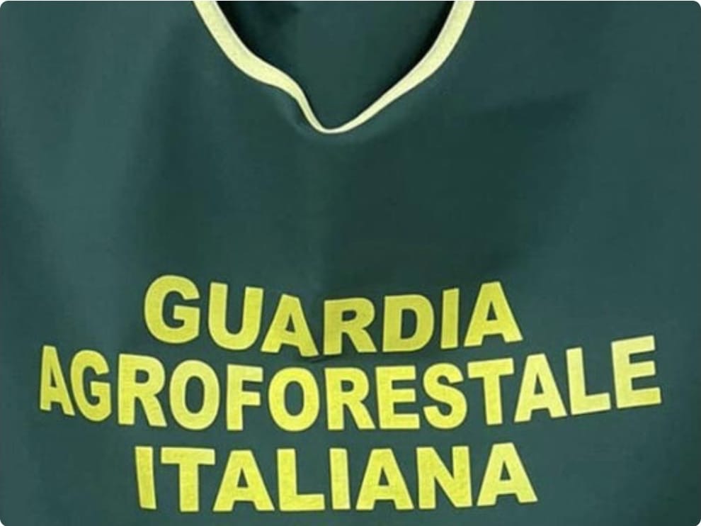 Nasce la Dirigenza Provinciale della Guardia Agroforestale Italiana ad Avellino: nominato il Dott. Antonio Del Giudice