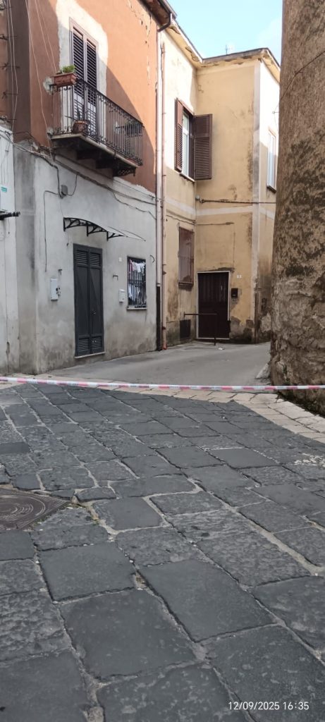 Avella, intervento dei Vigili del Fuoco in via Buongiovanni per un nido di api assalito dai calabroni