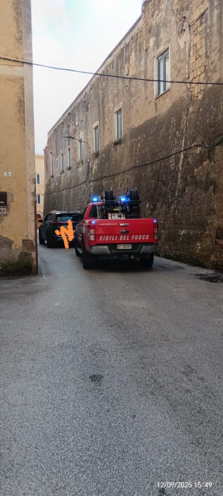 Avella, intervento dei Vigili del Fuoco in via Buongiovanni per un nido di api assalito dai calabroni