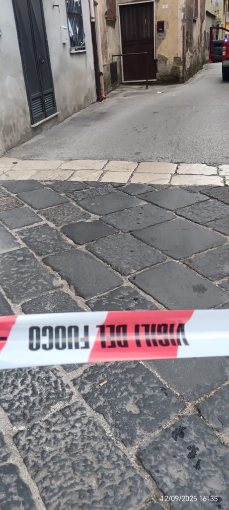 Avella, intervento dei Vigili del Fuoco in via Buongiovanni per un nido di api assalito dai calabroni