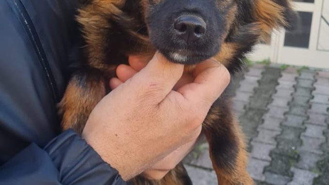 35959e6f-5651-4439-909d-3175e0b2e1a9