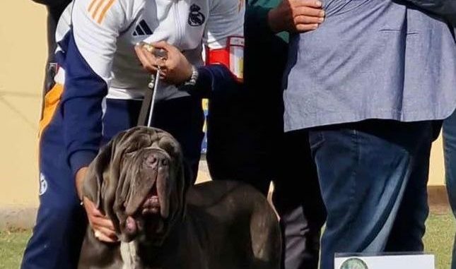 831289e1-7392-41d7-97ae-50c2bed4b9a8