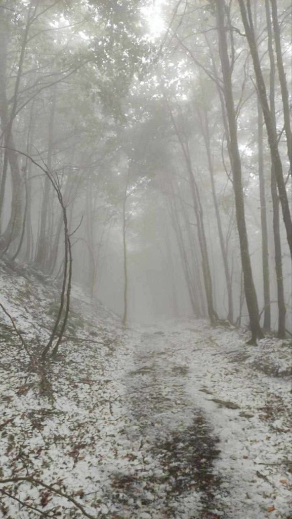Prima imbiancata sul Monte Cervialto: spettacolo d’autunno sui monti irpini