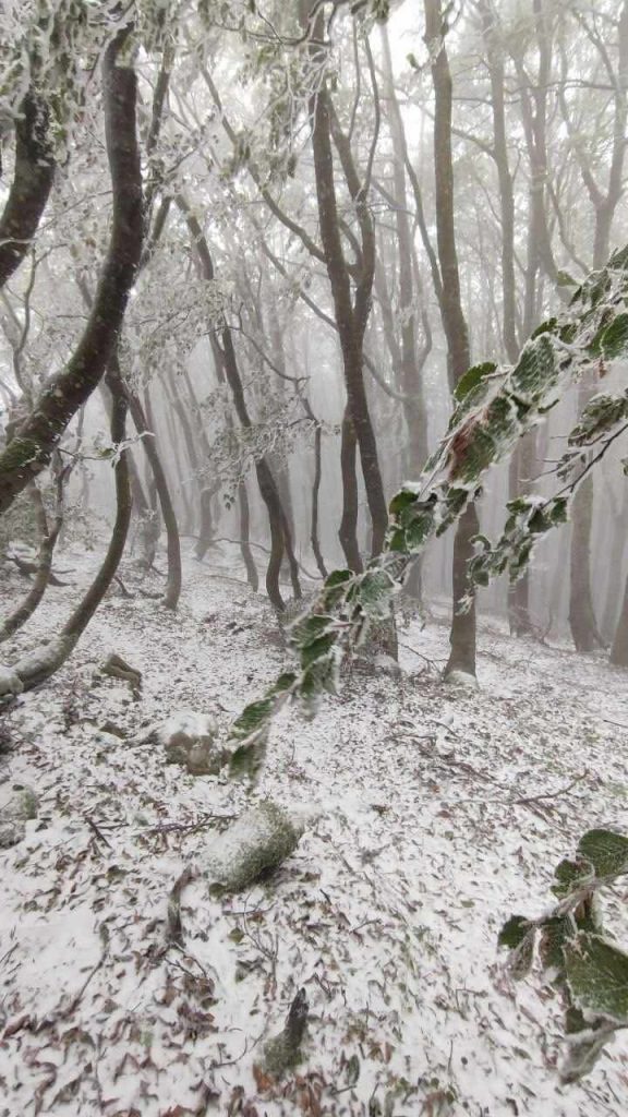 Prima imbiancata sul Monte Cervialto: spettacolo d’autunno sui monti irpini