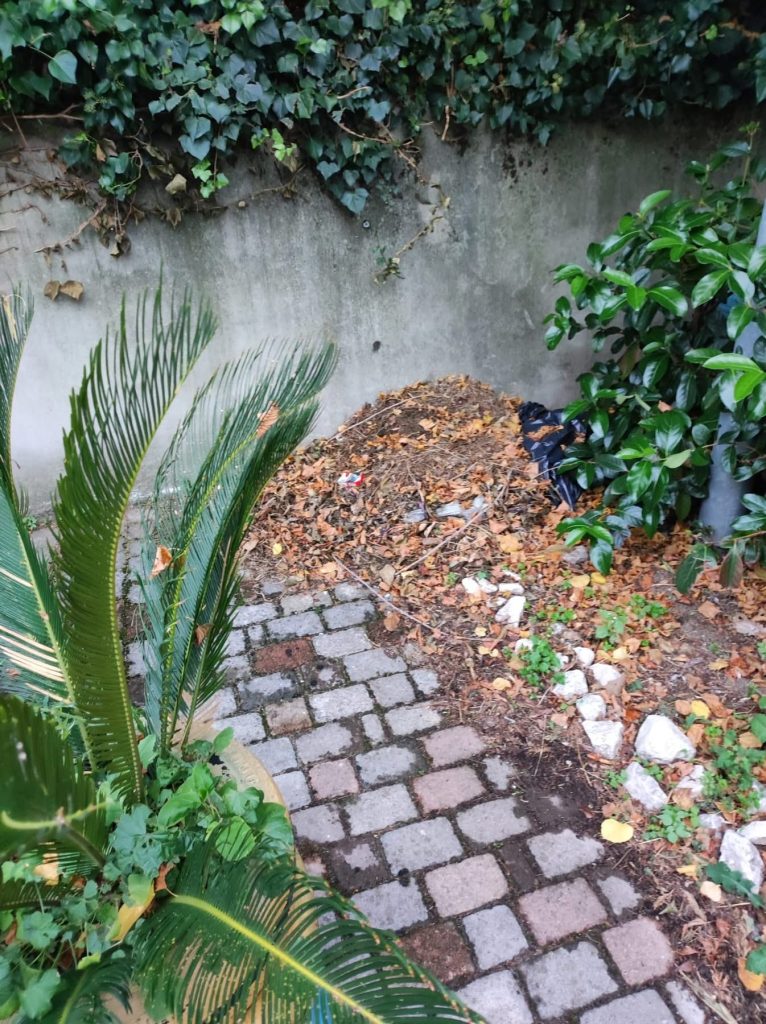 Sperone – Segnalazioni di degrado alla scuola dell’infanzia: il consigliere Muccio sollecita l’intervento del Comune