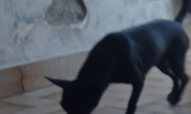 Immagine WhatsApp 2025-10-11 ore 15.44.42_52a4283f