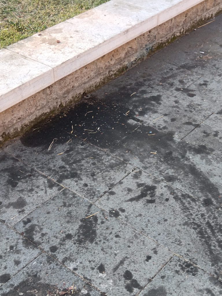 Avella, esposto denuncia di un cittadino su possibile dispersione di oli esausti durante la Sagra del paese