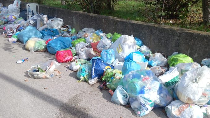 Immagine WhatsApp 2025-10-26 ore 12.15.04_a86144cd