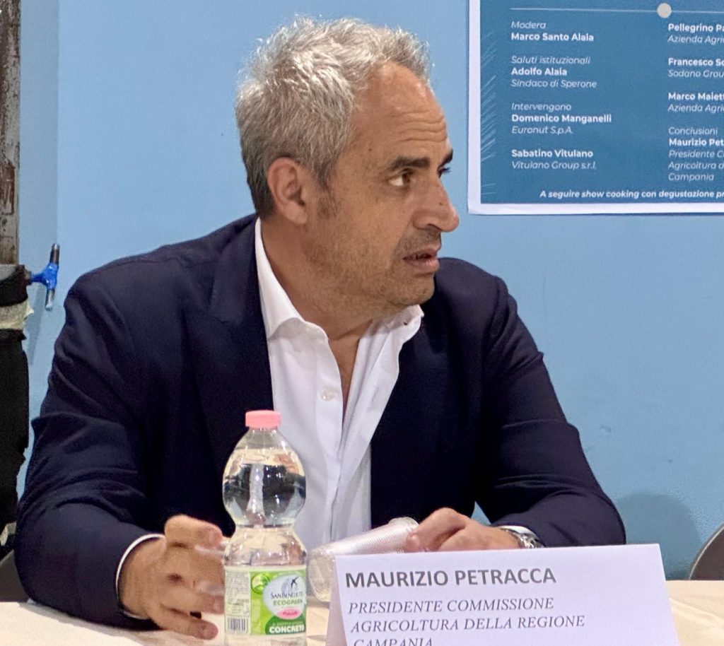 Sperone celebra la “Nocciola d’Autore”: successo per il Festival delle Eccellenze e delle Tradizioni Sperone celebra la “Nocciola d’Autore”: successo per il Festival delle Eccellenze e delle Tradizioni