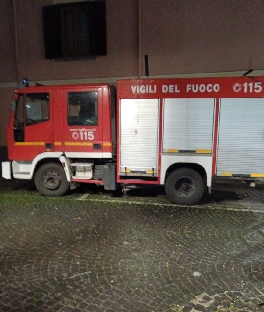 Avella, intervento dei Vigili del Fuoco per un nido di calabroni in piazza Ortaggi Avella, intervento dei Vigili del Fuoco per un nido di calabroni in piazza Ortaggi