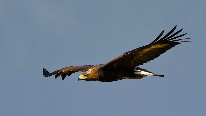 Immagine WhatsApp 2025-10-27 ore 20.54.20_eb28398e