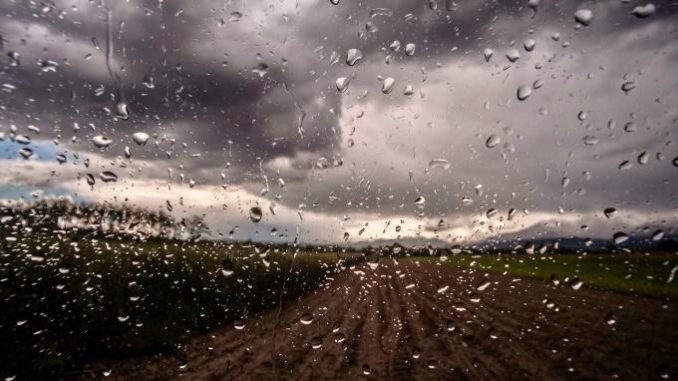 Immagine WhatsApp 2025-10-27 ore 23.40.59_dca95ad7