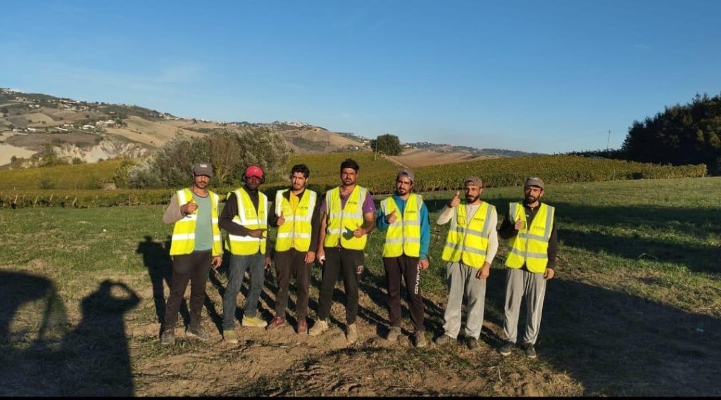 Esperienza della vendemmia e di musica per gli ospiti della Umamitas