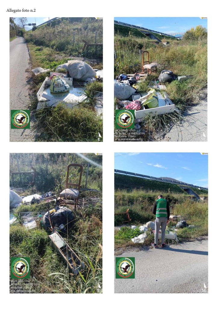 Avella, segnalato abbandono di rifiuti pericolosi lungo la Via Nazionale delle Puglie dalla Guardia Agroforestale Italiana Avella, segnalato abbandono di rifiuti pericolosi lungo la Via Nazionale delle Puglie dalla Guardia Agroforestale Italiana