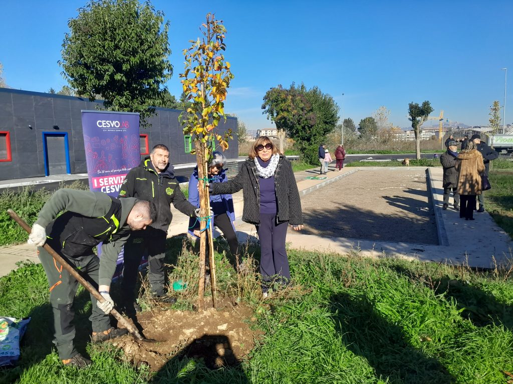 Nuovi alberi al quartiere Quattrograna di Avellino, per il restyling dell’area arborea.