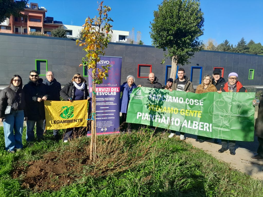 Nuovi alberi al quartiere Quattrograna di Avellino, per il restyling dell’area arborea.