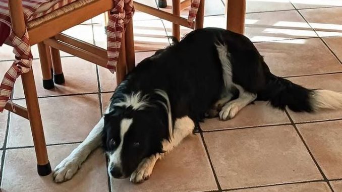 575786810_1159492315700914_8172738301473563968_n