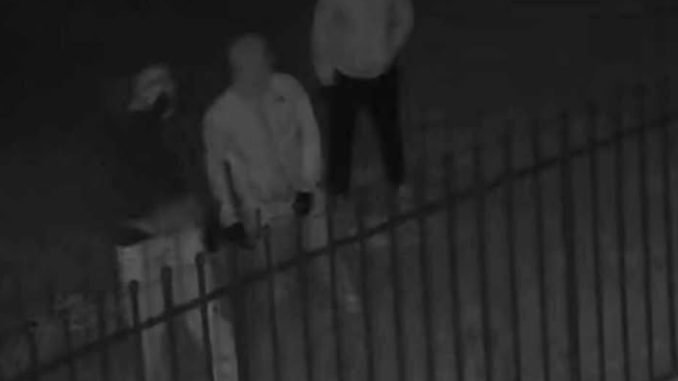 581964814_1483417576288716_6034558995768843867_n