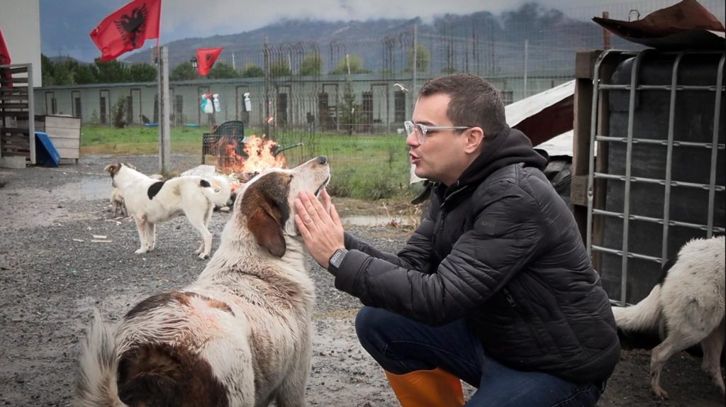 Baiano, intervento dell’attivista Enrico Rizzi: recuperati alcuni cani in condizioni precarie.