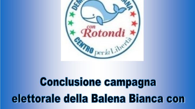 BALENA BIANCA1