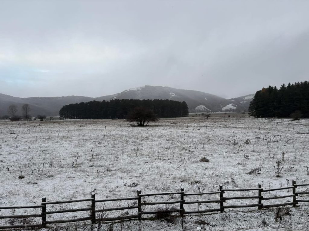 Neve al Lago Laceno: l’inverno arriva in anticipo sull’Alta Irpinia