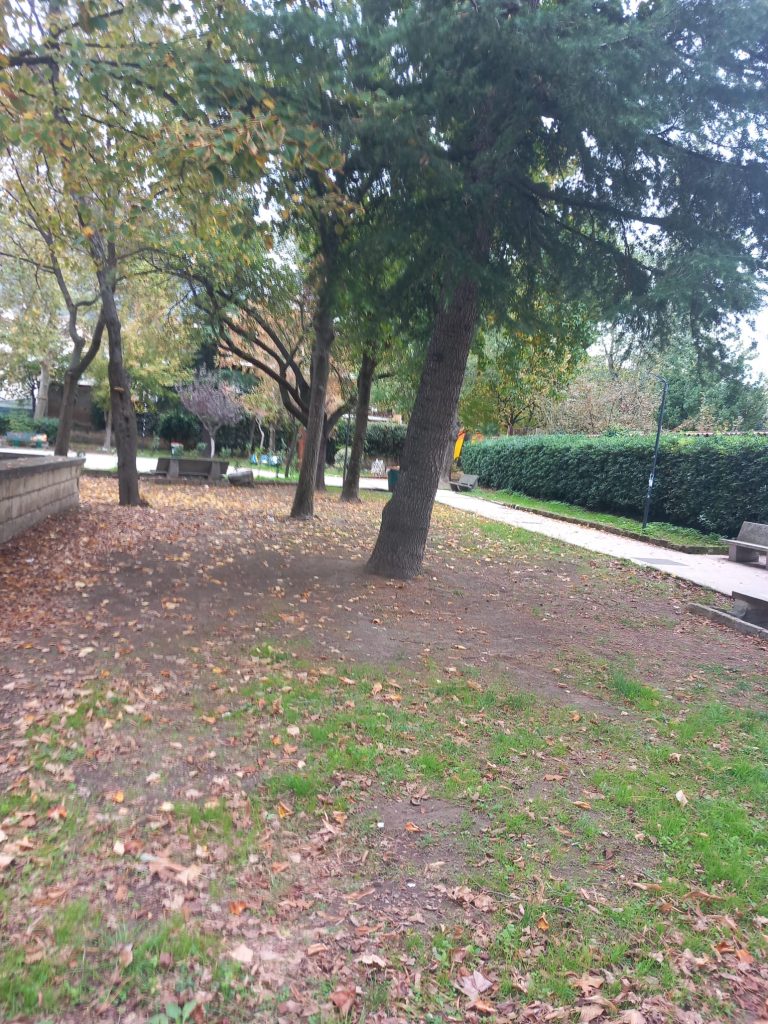 La bellezza dell’autunno a Baiano