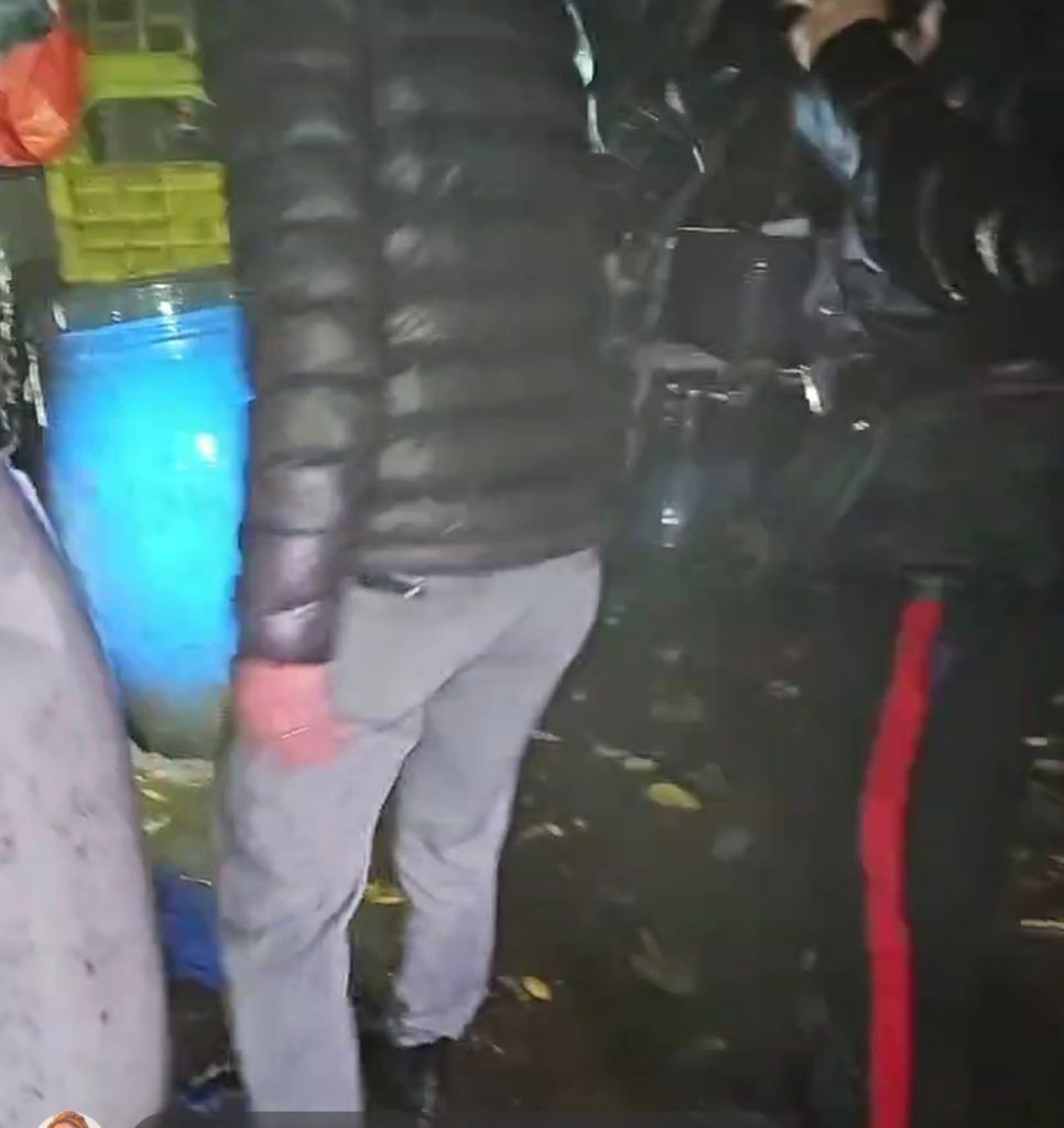 Baiano, intervento dell’attivista Enrico Rizzi: recuperati alcuni cani in condizioni precarie.