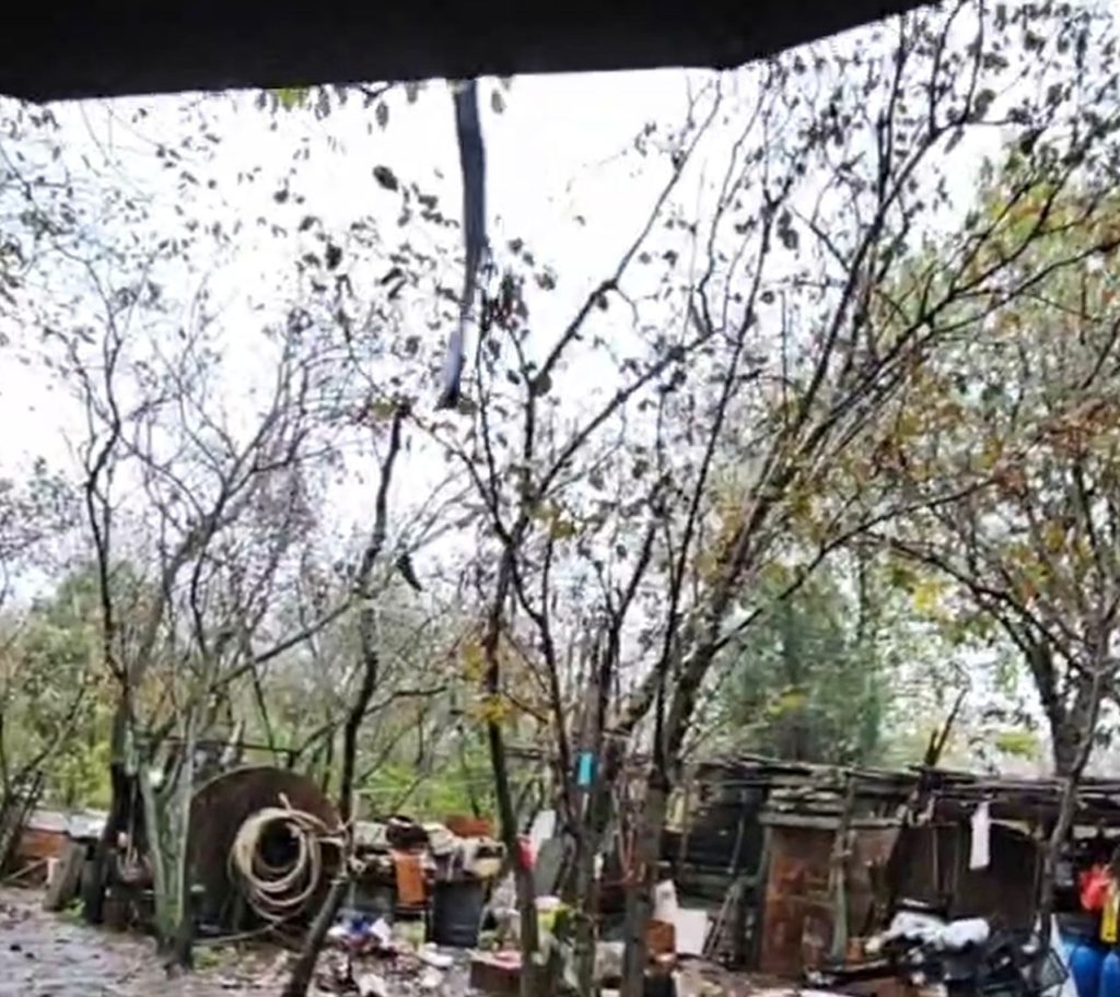 Baiano, intervento dell’attivista Enrico Rizzi: recuperati alcuni cani in condizioni precarie.