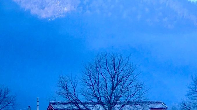 WhatsApp Image 2025-11-13 at 00.23.00